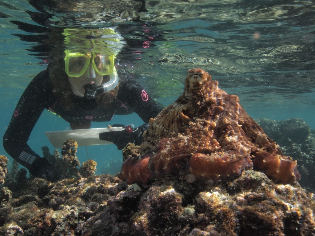 About Sy - Sy Montgomery