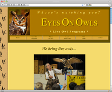 eyes on owls