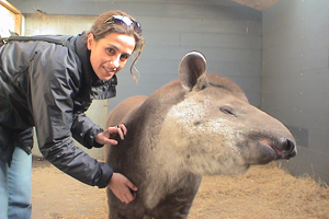 patti with tapir