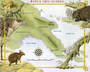 paua new guinea small