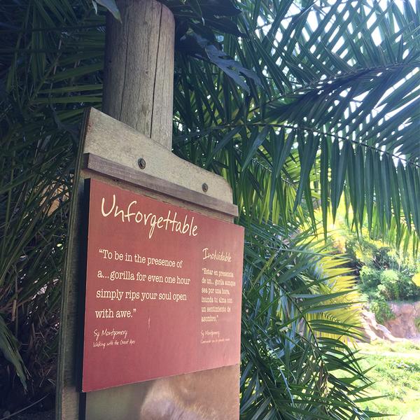 Sign at the Los Angeles Zoo — western lowland gorilla exhibit