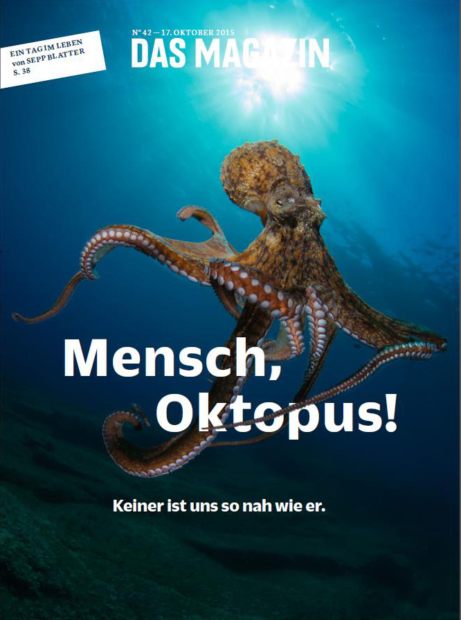 Man, octopus - there is none so close to us