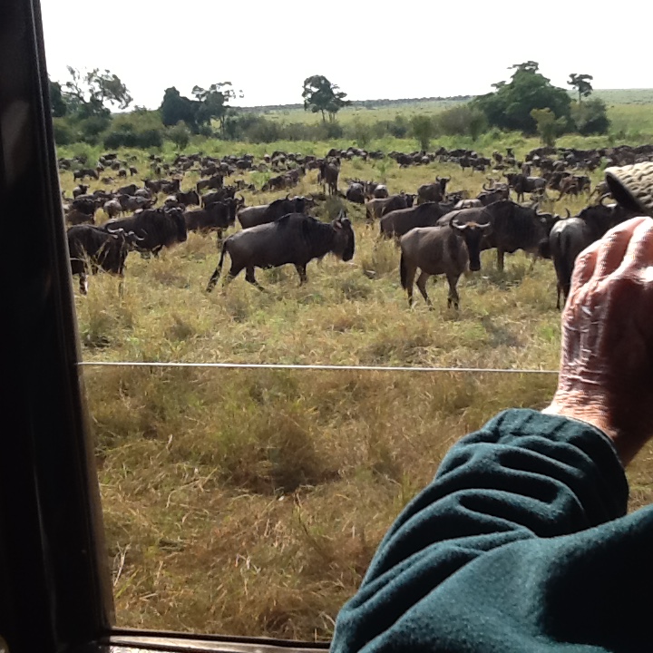 A view from Sy’s trip to the Serengeti