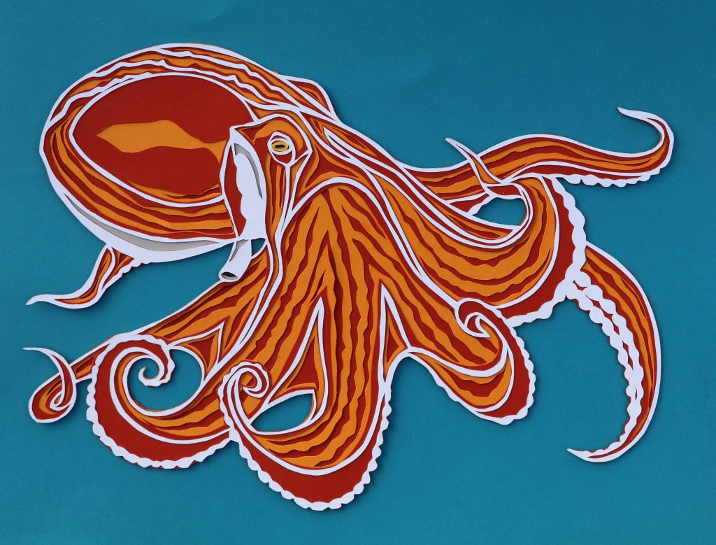 Artist Hannah Ellingwood's Octopus paper cut
