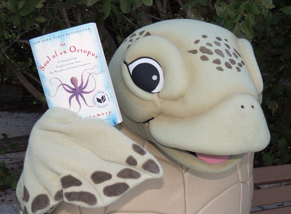 Even Gumbo Limbo Sea Turtle Rescue's mascot, Luna, is reading The Soul of an Octopus!