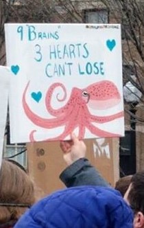 Octo Protest