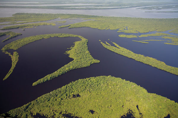 amazon delta