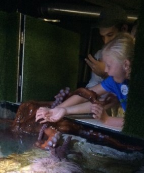 Heidi got a hug and a squeeze from the aquarium’s male giant Pacific octopus, Professor Ludvig von Drake