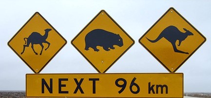 animal signs