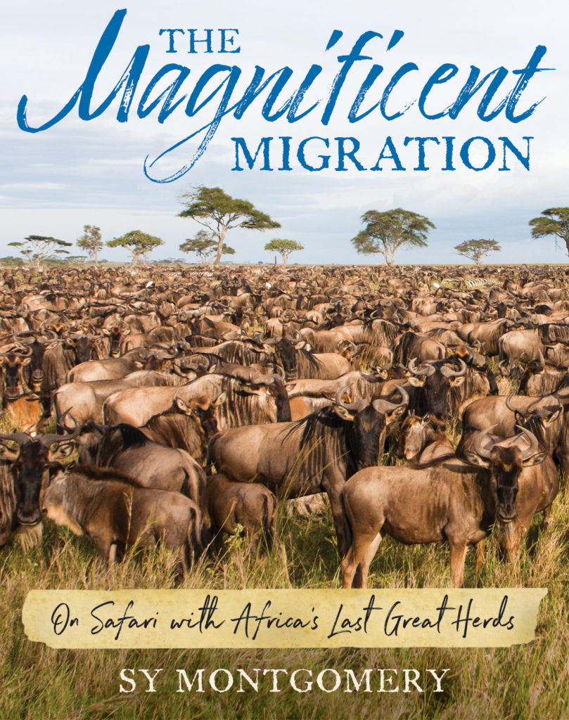 Magnificent Migration Coming in June