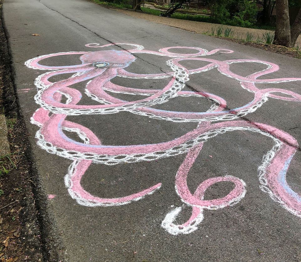 Graham Patterson's giant octopus chalk drawing