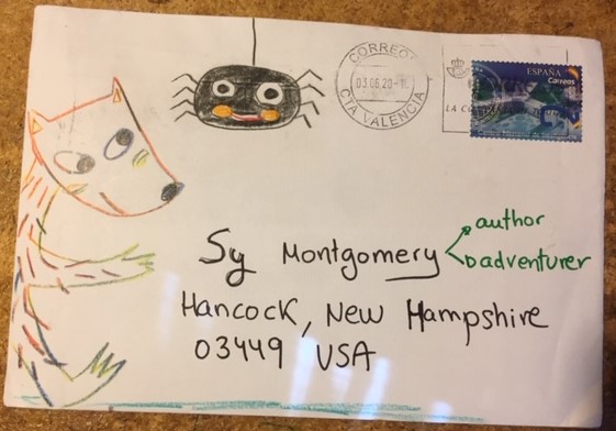 crafty critter drawn on this envelope from a reader in Valencia, Spain
