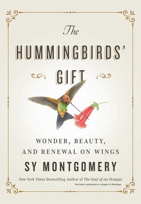 The Hummingbirds’ Gift: Wonder, Beauty, and Renewal on Wing