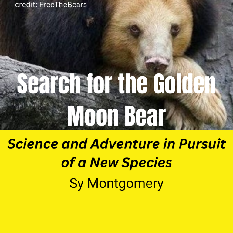 Search for The Golden Moon Bear audio book