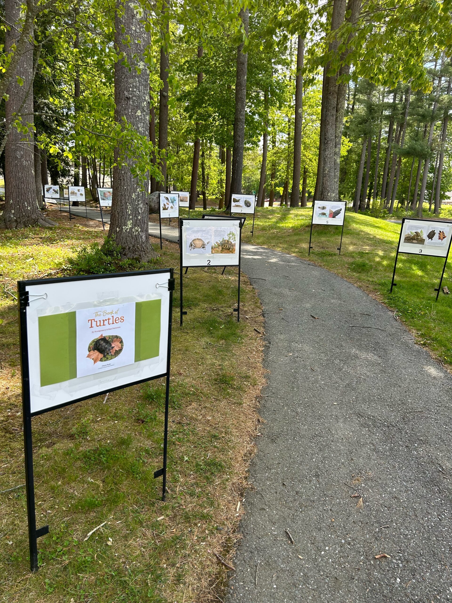 Townsend, MA library celebrates The Book of Turtles with a storywalk