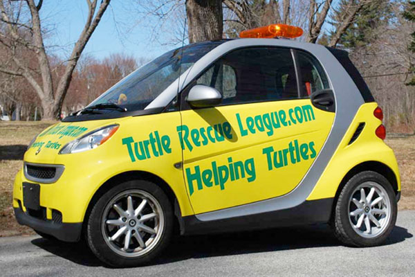 Turtle Rescue League (TRL) car
