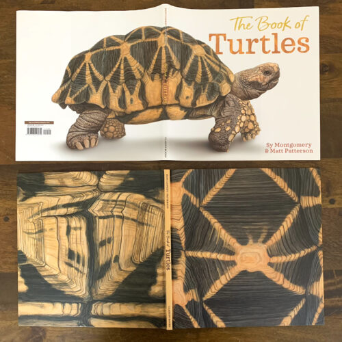The Book Of Turtles