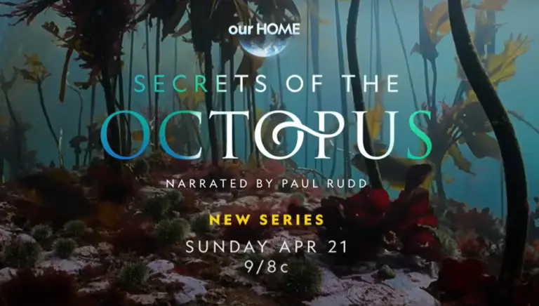 Secrets of The Octopus