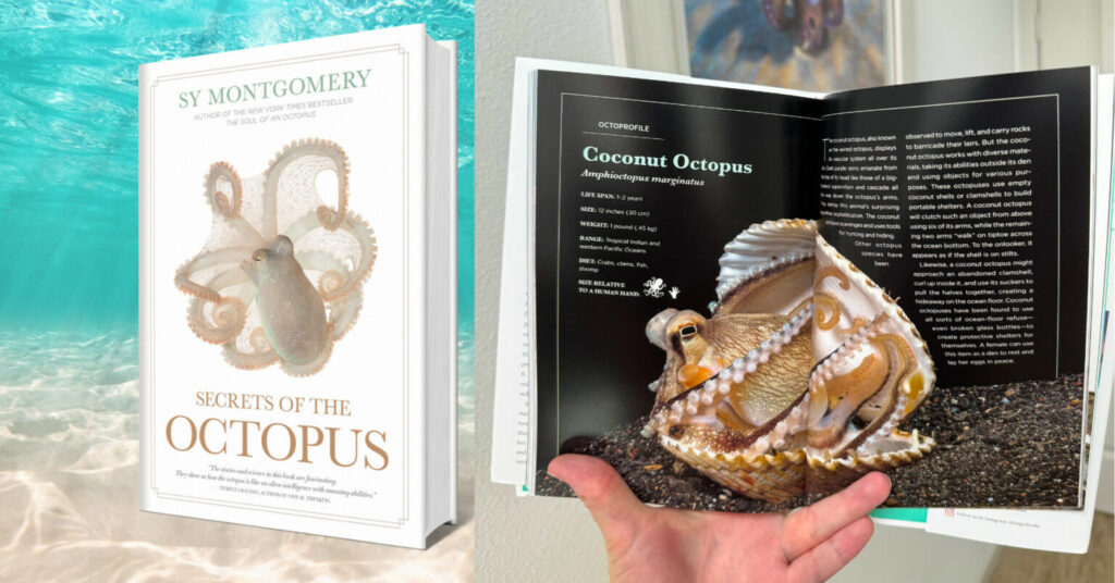 Win to Register a copy of Secrets of the Octopus by Sy Montgomery