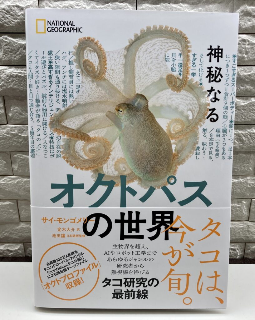Nature Sy Ten books that will transform how you see nature - Sy Montgomery