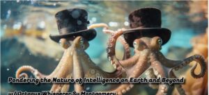 Two Octopuses with top hats